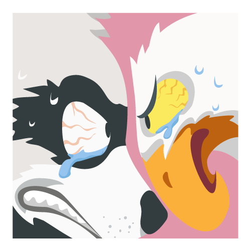 Qui a cédé en premier ?